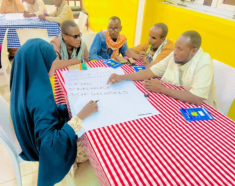Hygiene promoters completing a group exercise, August 2025